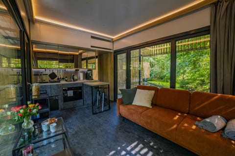 Kitchen or kitchenette, Living room, Decorative detail, Seating area, Dining area, furniture