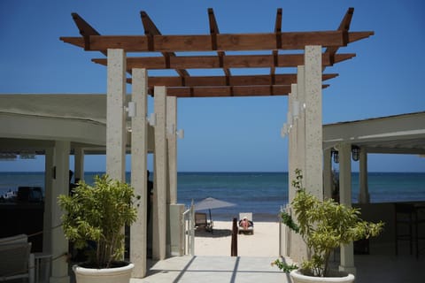 Day, Natural landscape, Beach, Sea view, sunbed
