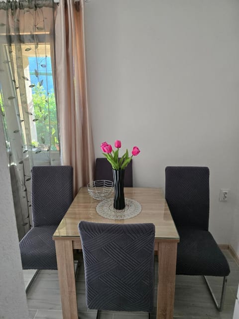 Apartman Jelena Apartment in Montenegro