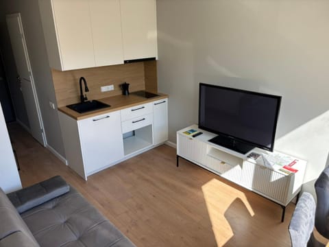 RR Apartments in Algirdo street Apartment in Vilnius