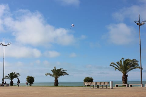 Activities, Beach