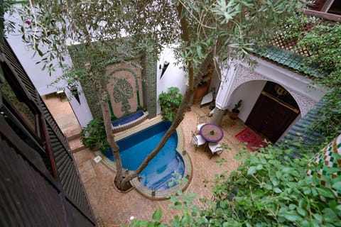 Patio, Natural landscape, Garden, Garden view, Pool view, Swimming pool