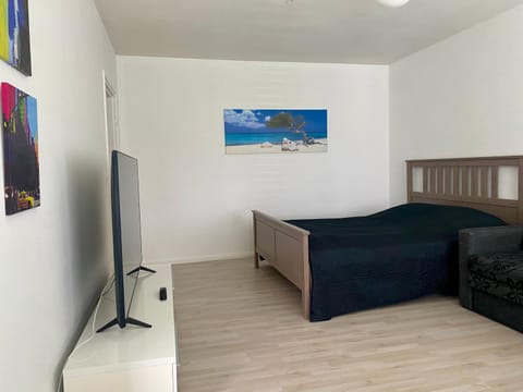 Communal lounge/ TV room, Bed, TV and multimedia, Photo of the whole room, Bedroom