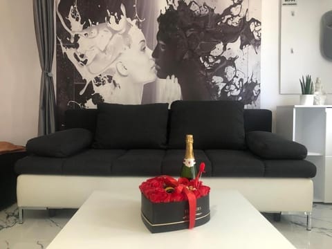 D&D Apartment's Delightful home with parking! Apartment in Timiș County