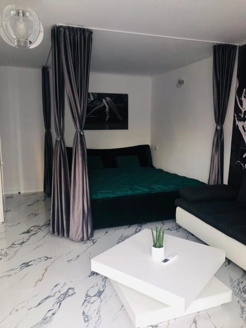 D&D Apartment's Delightful home with parking! Apartment in Timiș County