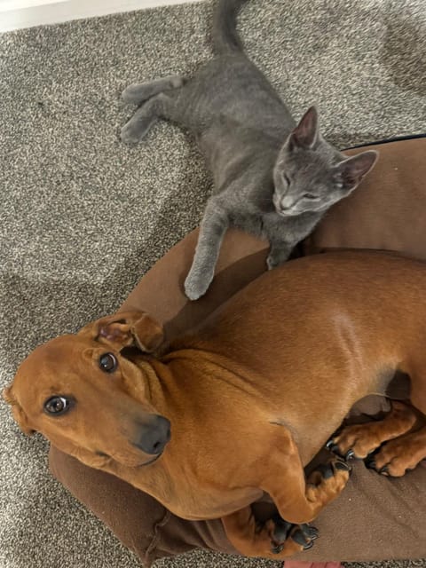 Abbey Caves Countryscape Bed and Breakfast in Whangārei