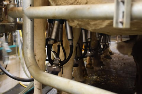 Ferienwohnungen Reinalter Farm Stay in Trentino-South Tyrol