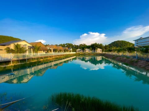 Lake view