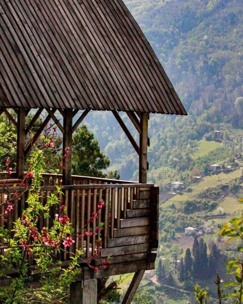 Natural landscape