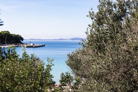 Robinzonska kuća Mir Podvrške Murter House in Murter