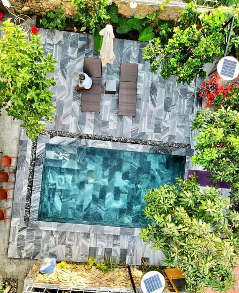 Day, Garden, Garden view, Pool view, Swimming pool, sunbed