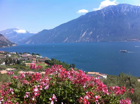 Natural landscape, Lake view