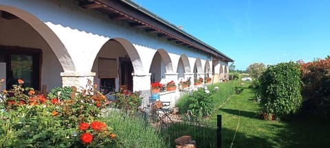 Property building, Garden, Garden view