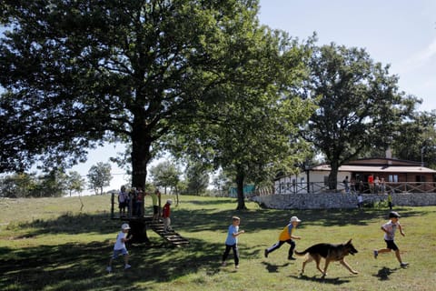People, Natural landscape, Pets, children