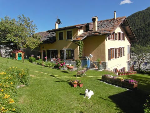 Garden, Animals, Animals, Animals, Pets, Pets, Pets, Supermarket/grocery shop, pet friendly, pet friendly