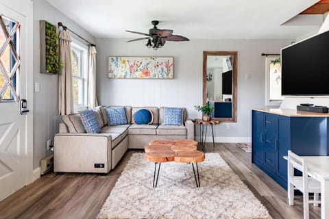 TV and multimedia, Living room