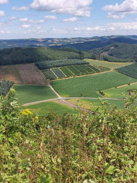 Nearby landmark, Spring, Natural landscape