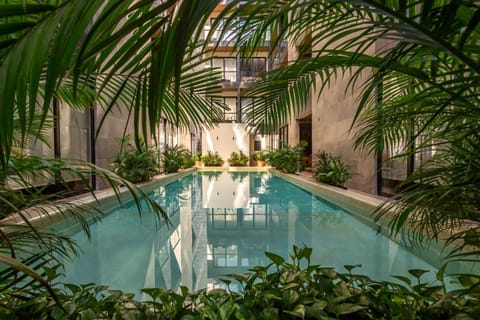 Summer, Garden, Swimming pool