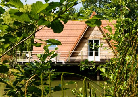 Lake view
