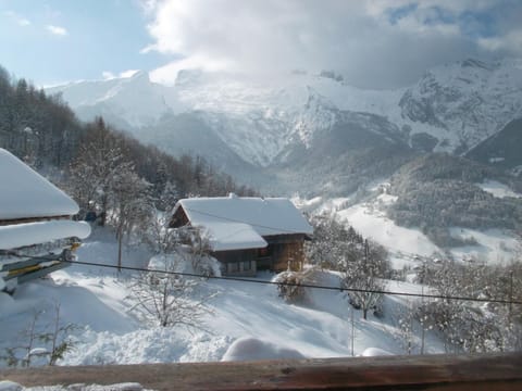 Les Jonquilles Chalet in Manigod