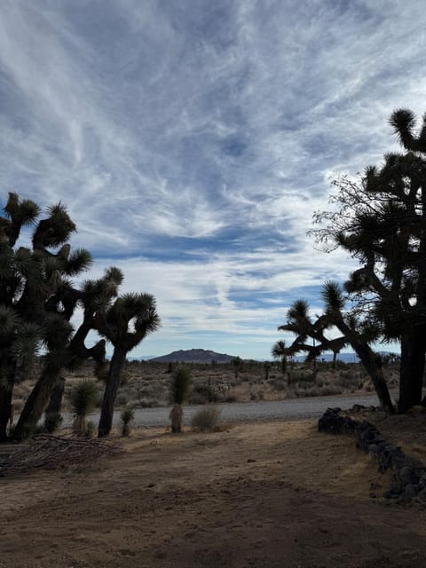 Day, Natural landscape