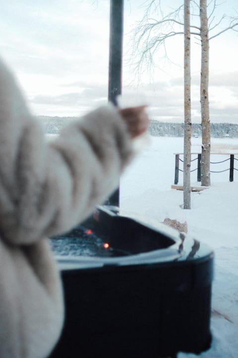 Villa Lillan - Luxury Seaside Villa with Sauna & Jacuzzi House in Uusimaa