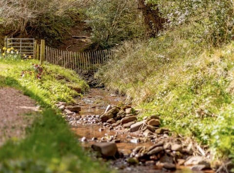 Hot Tub, Stream-Side Garden, Mountain Views, 17thC House in Crucorney