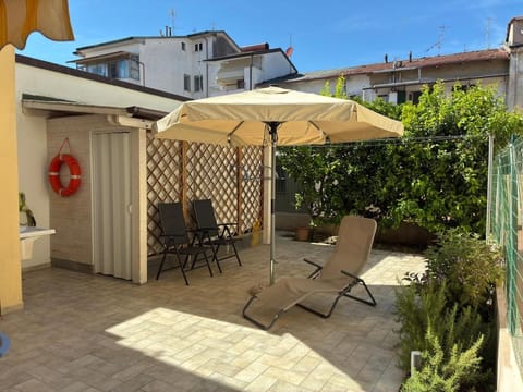 Garden, Garden, Garden view, sunbed