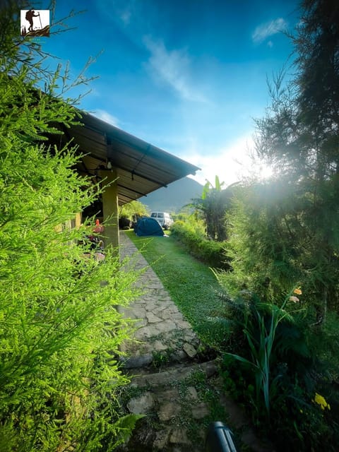 Natural landscape, Garden, Garden, Balcony/Terrace, Garden view