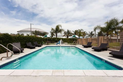 On site, Pool view, Swimming pool, Swimming pool