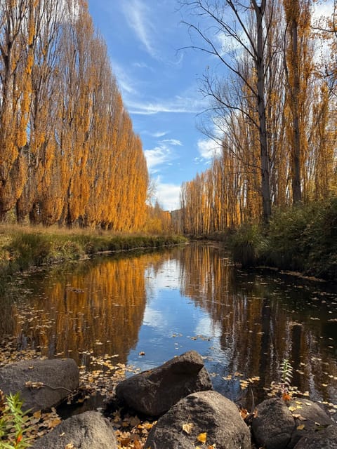 River view
