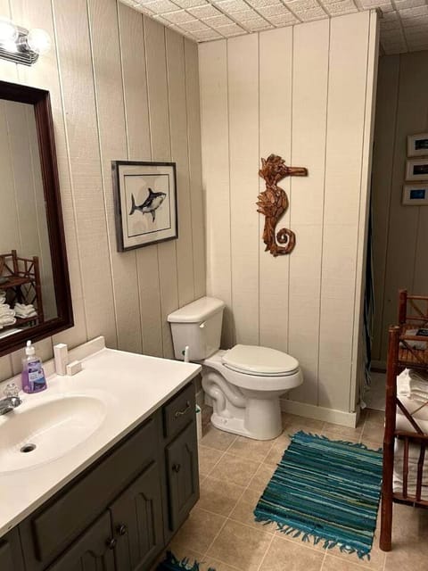 Mountain Lake House in North Carolina House in Lake Glenville