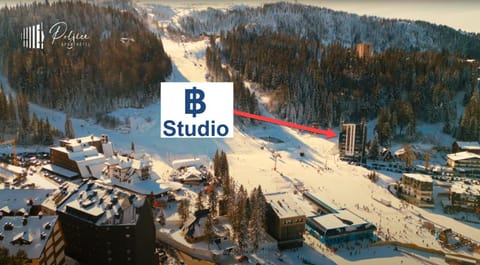 Neighbourhood, Natural landscape, Bird's eye view, Winter, Text overlay, Mountain view