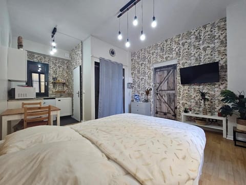 Studio hypercentre 2 étoiles Apartment in Aix-les-Bains