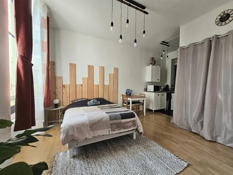 Studio hypercentre 2 étoiles Apartment in Aix-les-Bains