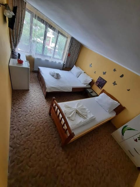 Casa Adelina Bed and Breakfast in Serbia