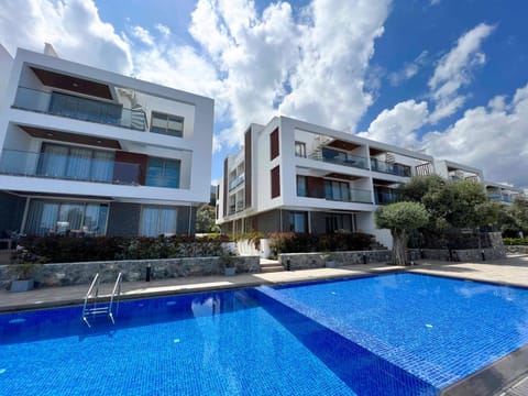 Day, Pool view, Swimming pool, Swimming pool