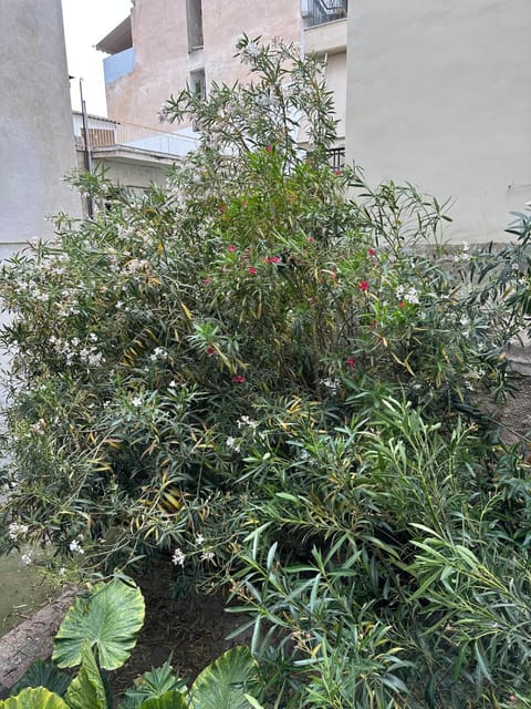 Timeless Thissio Home Apartment in Athens