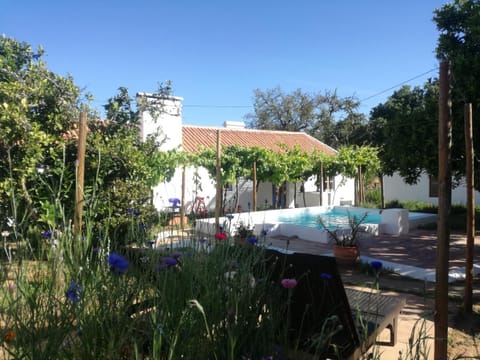 Property building, Garden view, Swimming pool