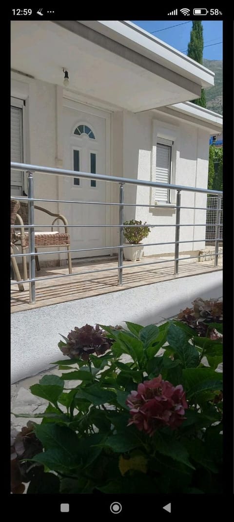 Apartman Olgica Apartment in Montenegro