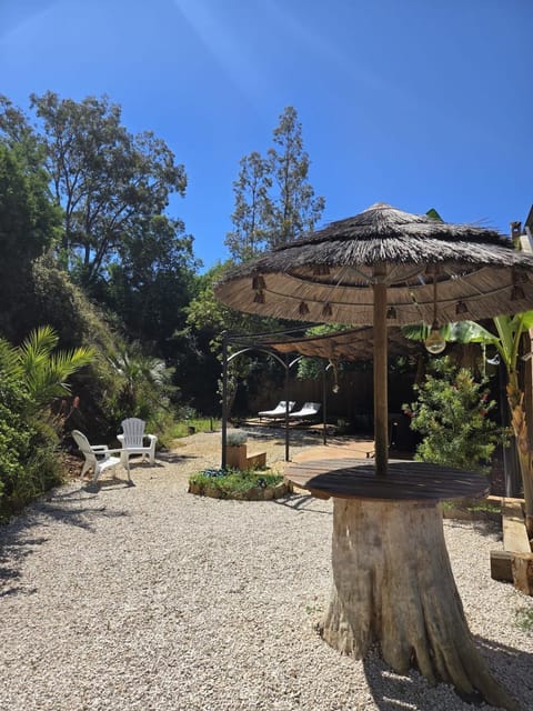 Garden view