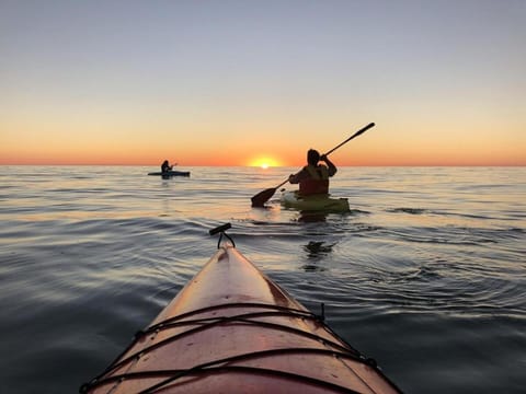 Newly Renovated Cozy Grand Traverse Condo - 5547 Apartment in Michigan