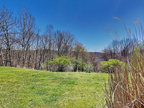 Villages of Wisp 28 Beary Cozy House in McHenry