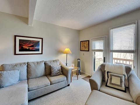 Villages of Wisp 28 Beary Cozy House in McHenry