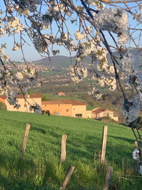 Spring, Natural landscape