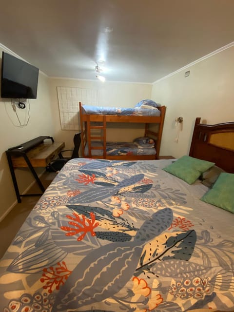 Bed, Photo of the whole room, Bedroom, bunk bed