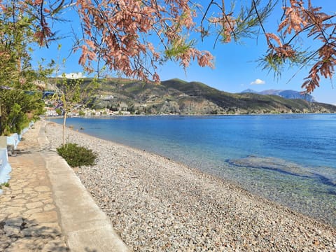 Villa Nikolas Limni Apartment hotel in Euboea