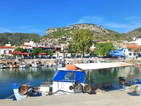 Villa Nikolas Limni Apartment hotel in Euboea