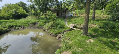 Garden, Seating area