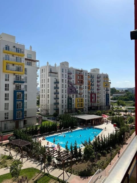 Day, Swimming pool, sunbed